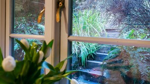 Blick durch ein Fenster mit einer Holztür, der in einen Garten mit Stufen, Pflanzen und einer Steinmauer führt.