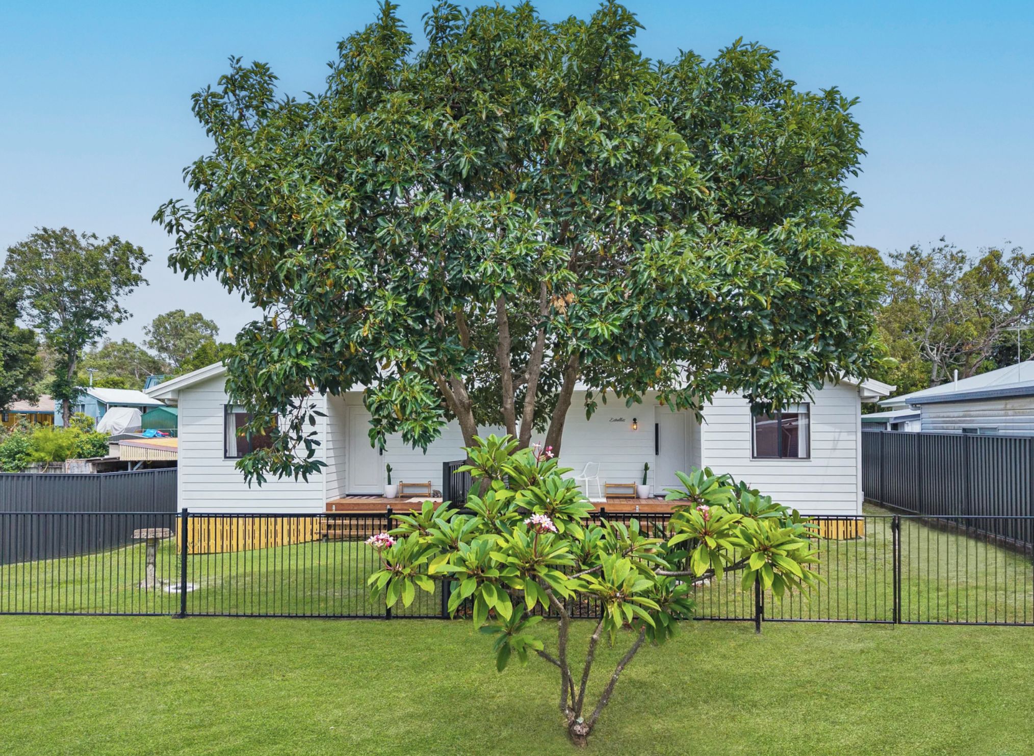 Einbungalow mit großem Baum im Vorgarten, einem eingezäunten Hinterhof und einer kleinen Terrasse.