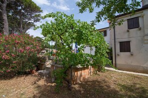 Property grounds - Sestavine House / Bastinac 2 (Veli Lošinj)