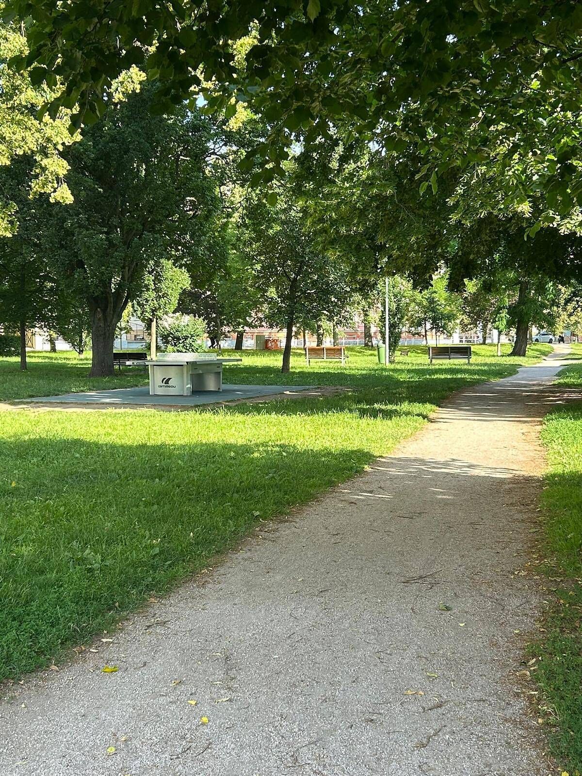 Ein Park mit befestigtem Weg, Bänken und Bäumen.