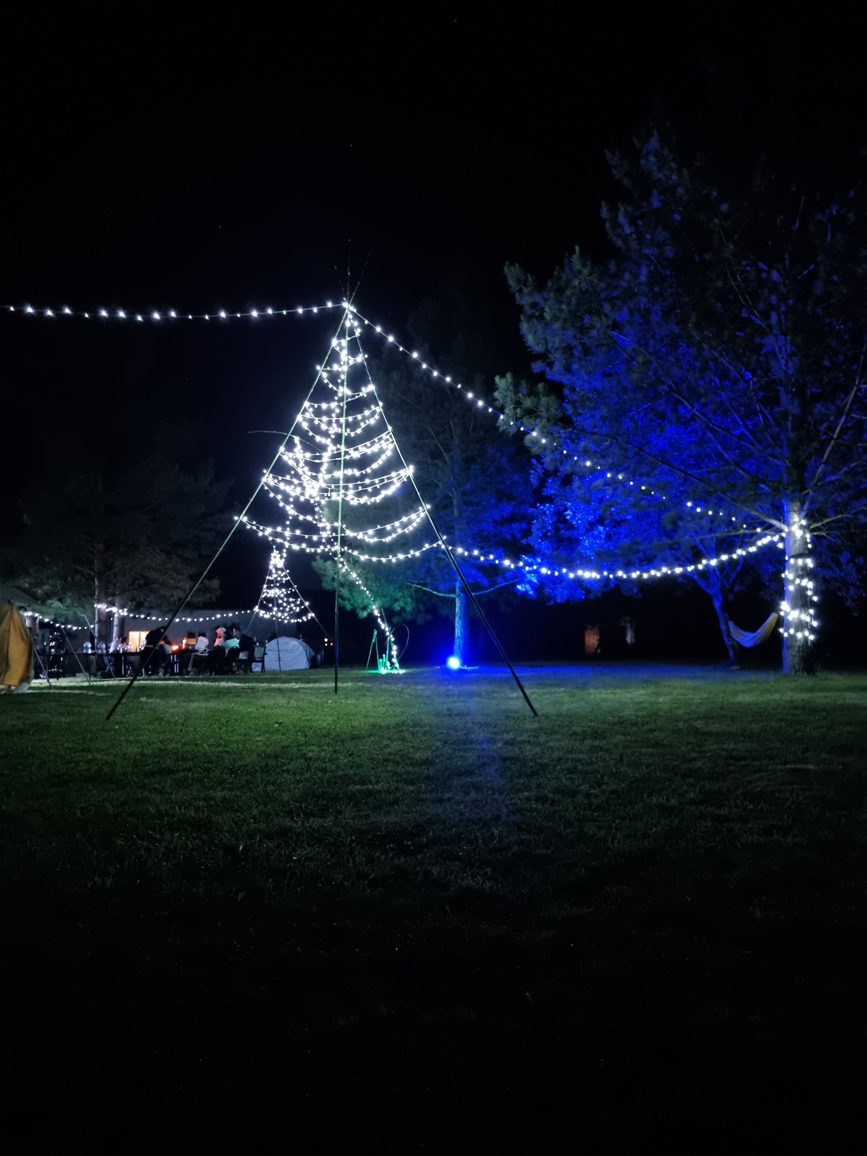 A large Christmas tree decorated with white lights, surrounded by a string of lights.