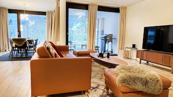 Televisión y libros