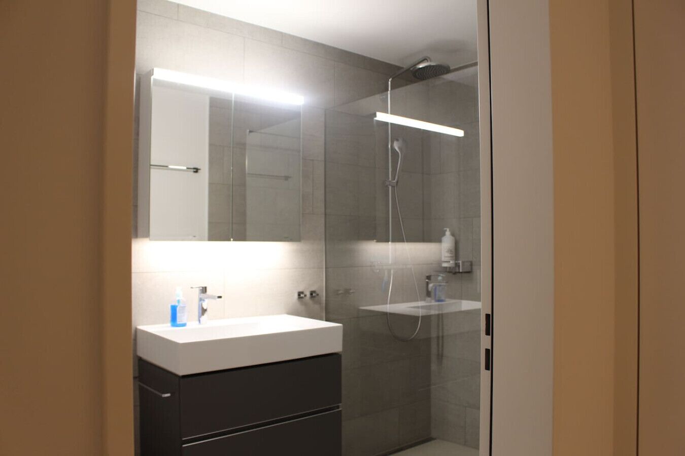 Haartrockner, Handtücher, Seife, Shampoo