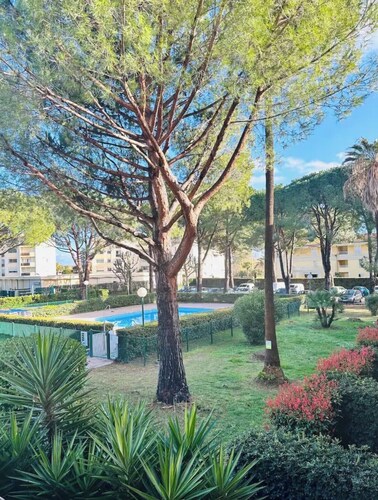 Charming bright studio in Mandelieu-la-Napoule