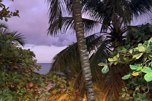Family Double Room, 2 Bedrooms, Balcony, Beach View | Terrace/patio