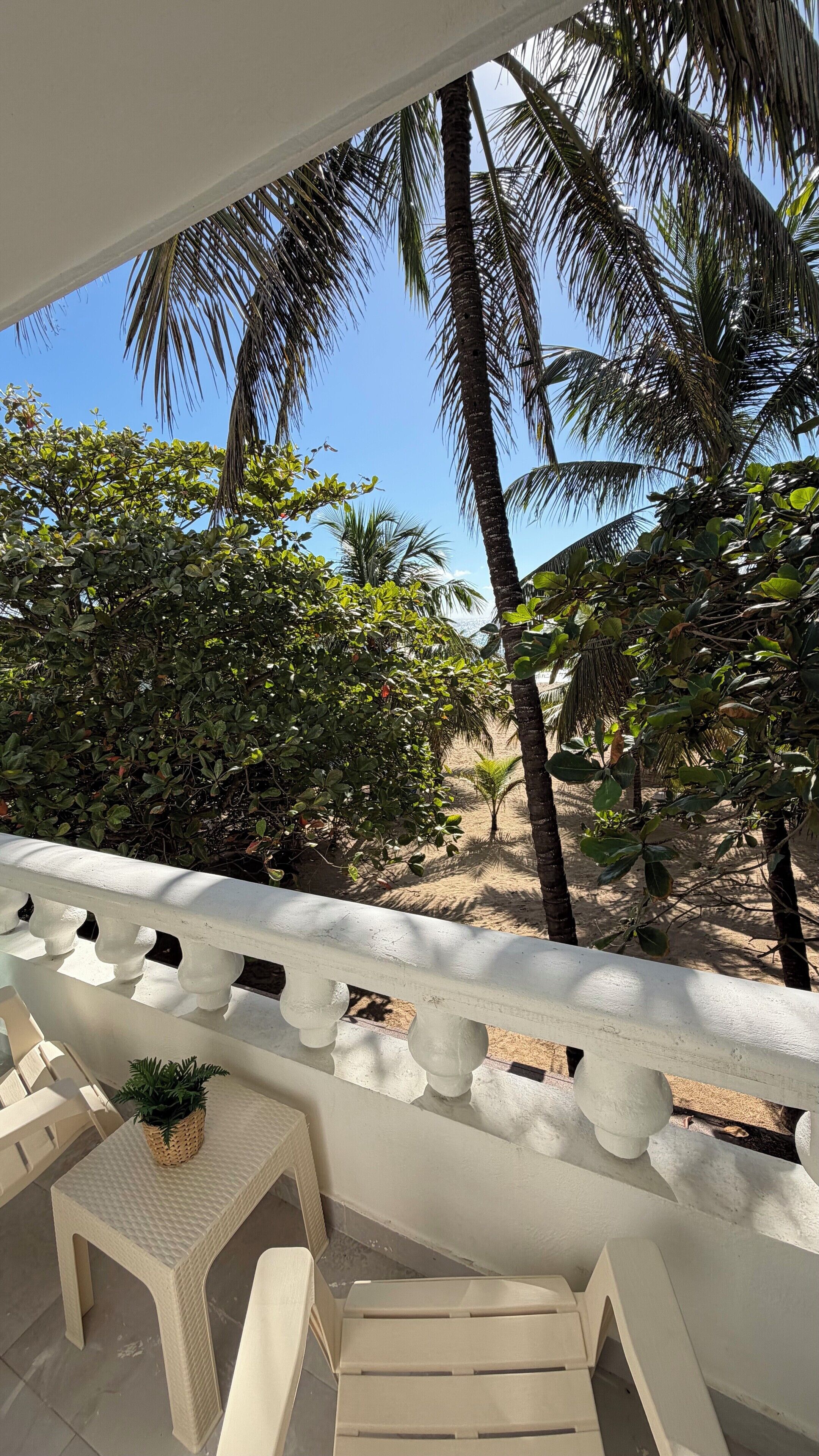 A balcony with a white balustrade, a small table with a plant, and a chair.