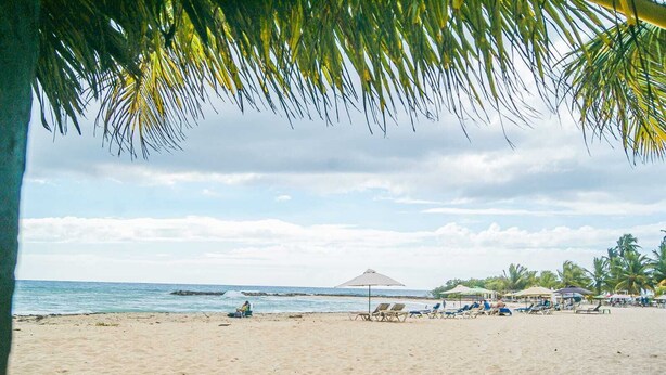 Une plage avec des transats et des parasols, des palmiers et un ciel dégagé.