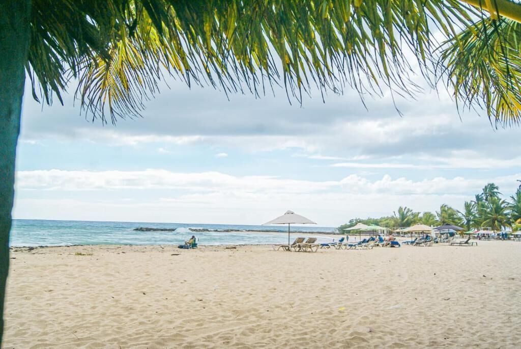 Grill- och picknickområde