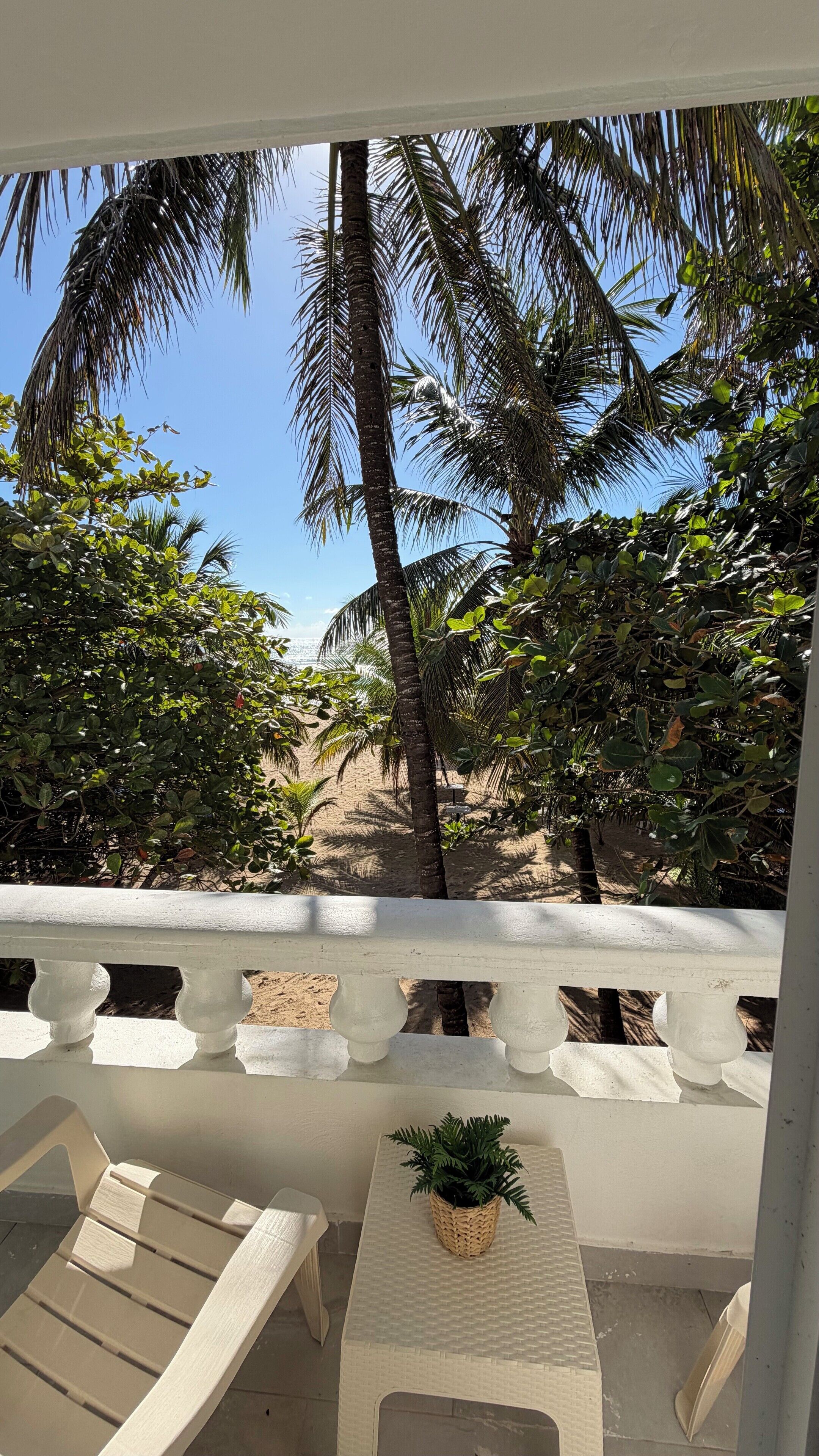 Un balcón con vista a una playa y palmeras.