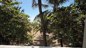 A balcony with a view of a beach and palm trees.