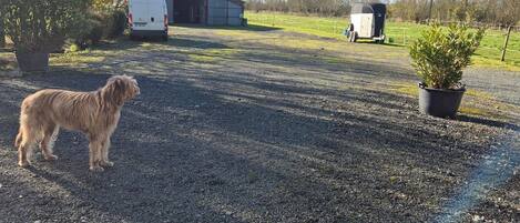 Enceinte de l’hébergement