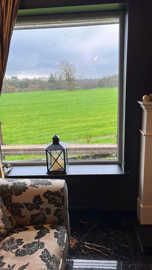 Interior - Perfect 1-bedroom lodge in Tulla for a relaxing getaway surrounded by woodlands (TULLA)