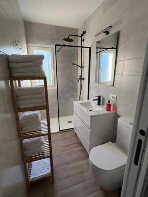 Shower, hair dryer, towels