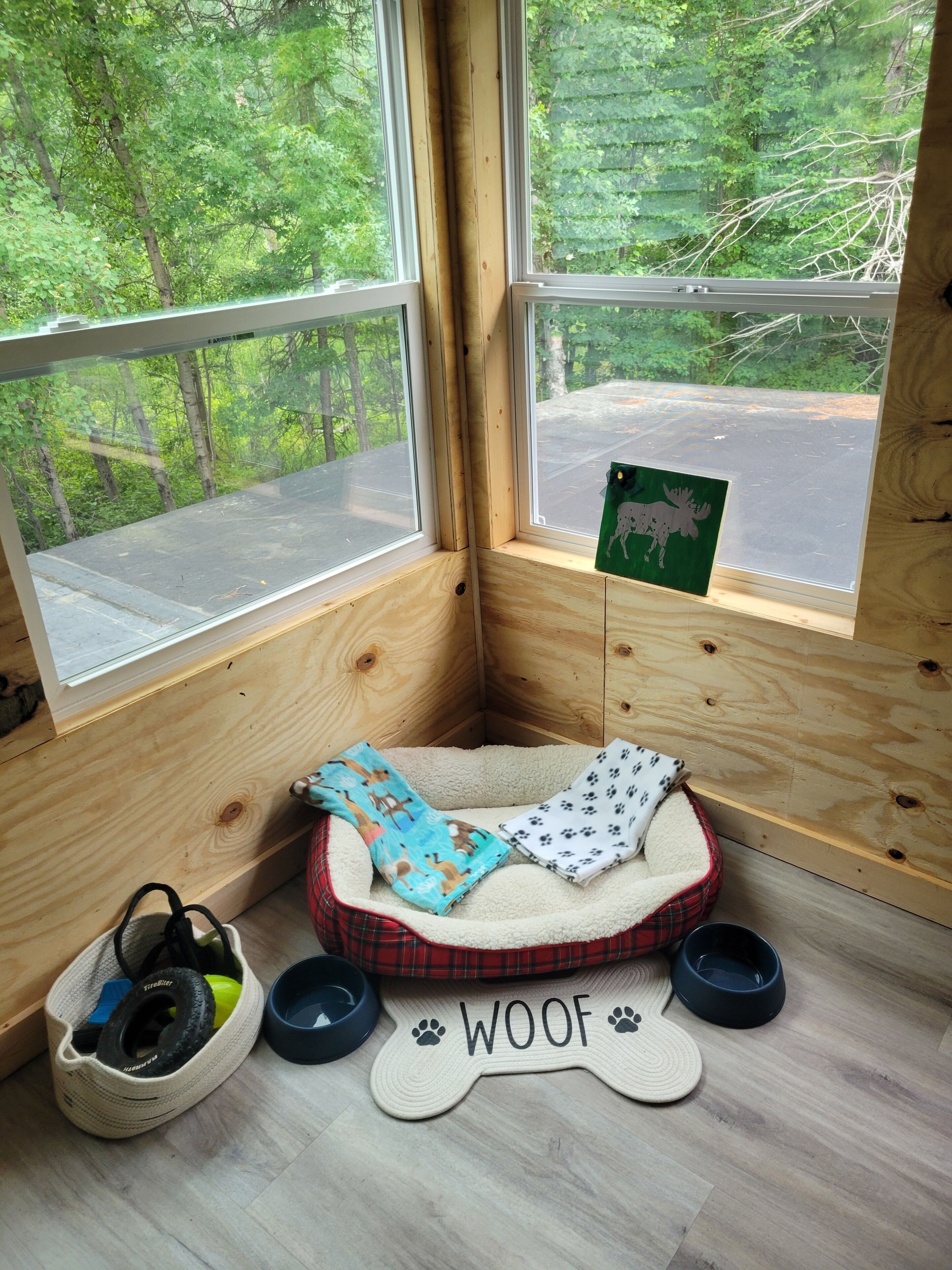 A cozy corner with a pet bed, a dog bowl, a leash, and a window with a view of trees.