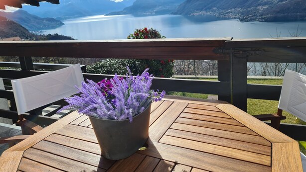 Eine Holzterrasse mit einem Lavendeltopf, mit Blick auf einen See und Berge.