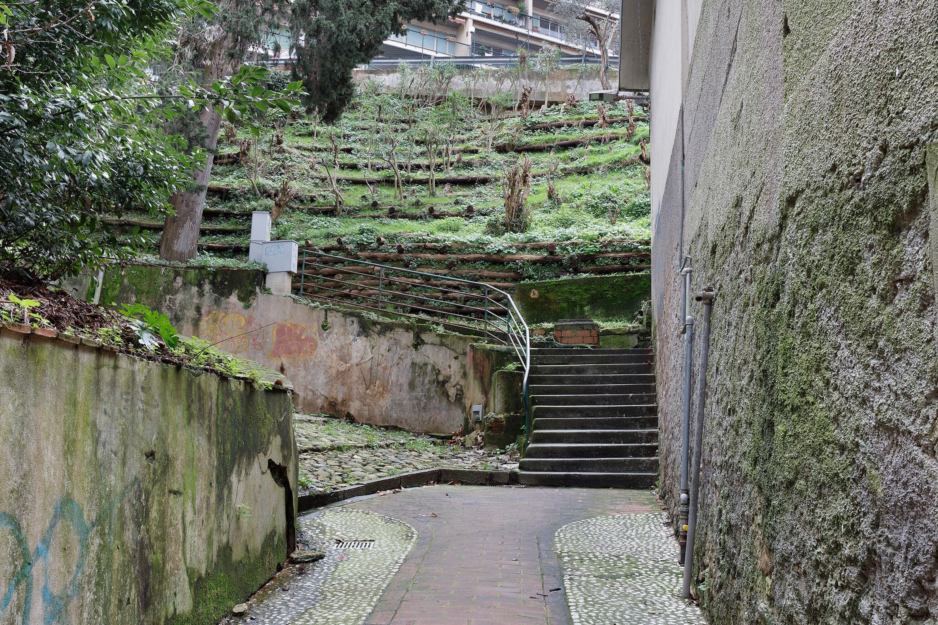 Parco della struttura