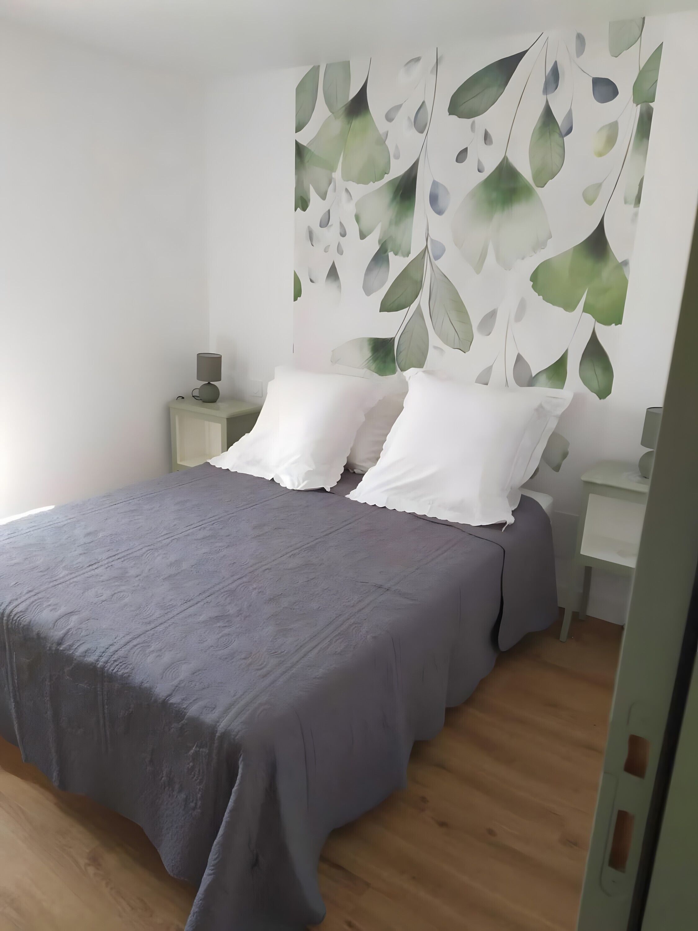 Fer et planche à repasser, Wi-Fi