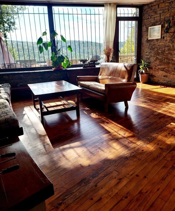 TV, fireplace, ping pong