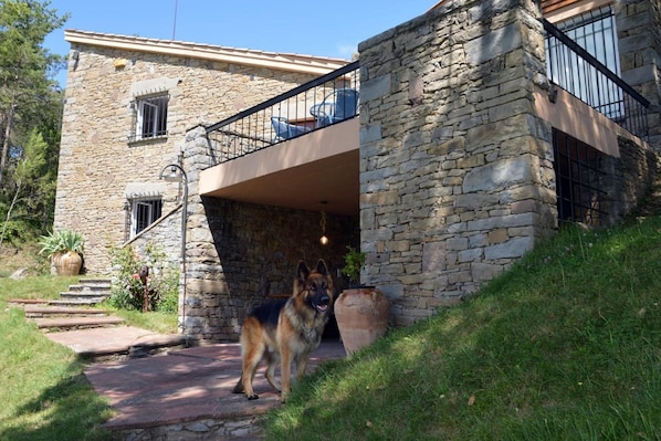 A stone building with a balcony, steps leading to the entrance, and a dog standing in front.