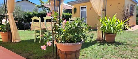 テラス / パティオ