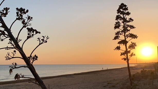 Una playa con atardecer, arena y vegetación escasa.