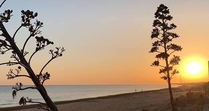 Mobil-home 'Casa Mobile 12' avec jardin commun et Wi-Fi