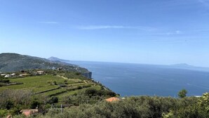A coastal landscape with vineyards, houses, and a view of the sea. - From Pupa SeaView Apartment (Vico Equense)