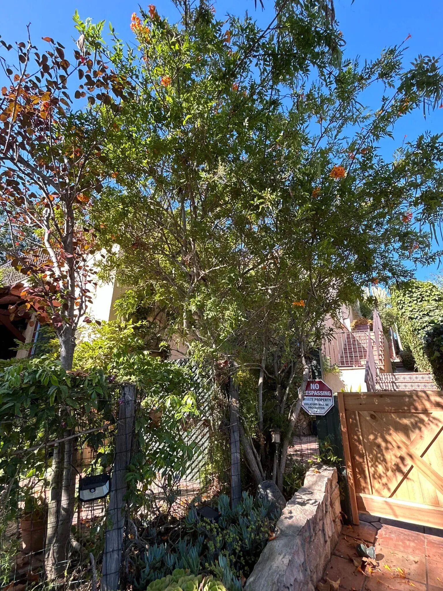 Áreas de la propiedad