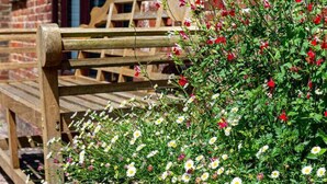 Exterior detail - Goose Shed | Rural Farm Cottage | Cosy Fire (Stelling Minnis)