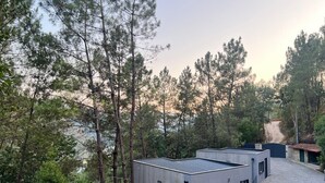 Un bâtiment moderne doté d’un toit en pente, entouré d’une dense forêt de pins.