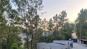 A modern building with a flat roof, surrounded by tall pine trees and a dirt path. - Casa do Martinho: Mountain Retreat with Lake View, Shared Terrace, and Wi-Fi (Vilar da Veiga)