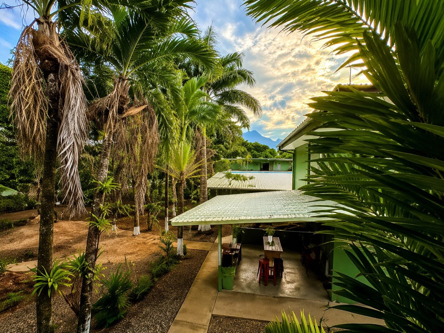 A tropical resort with a covered patio, palm trees, and a mountain in the background.