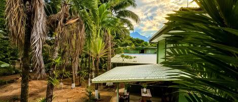 A tropical resort with a covered patio, palm trees, and a mountain in the background.