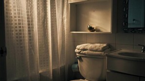 Appartement Affaires, patio, vue cour intérieure | Salle de bain