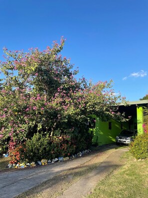 Property grounds - Private ocean view villa. Infinity pool. Air Conditioned bedrooms. Large deck. (Choiseul)