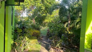 Un sendero serpentea entre un exuberante jardín con suelo de mosaicos y diversas plantas tropicales.