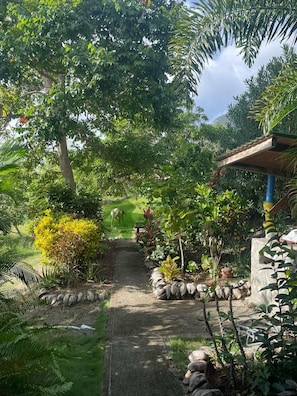 Property grounds
