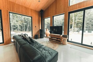 TV, fireplace, stereo, offices - Two Zen Houses 3 & 6 - Villas and Spas (Morin-Heights)