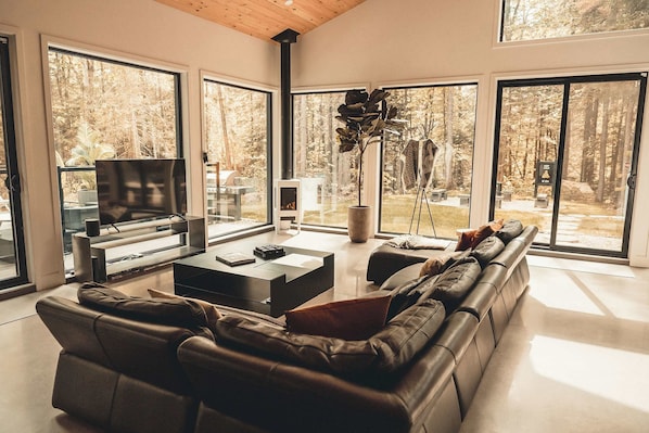 Fernseher, Kamin, Stereoanlage, Arbeitsbereiche