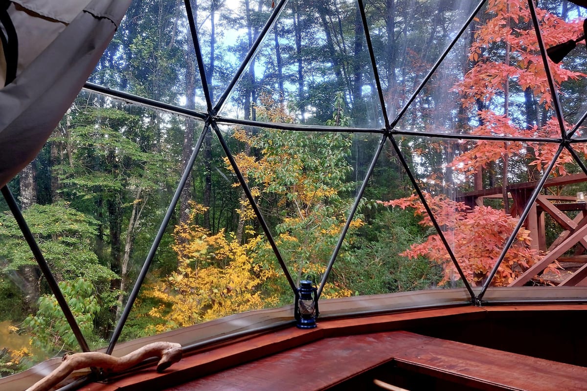 A room with a large window offering a view of a forest with autumn foliage.