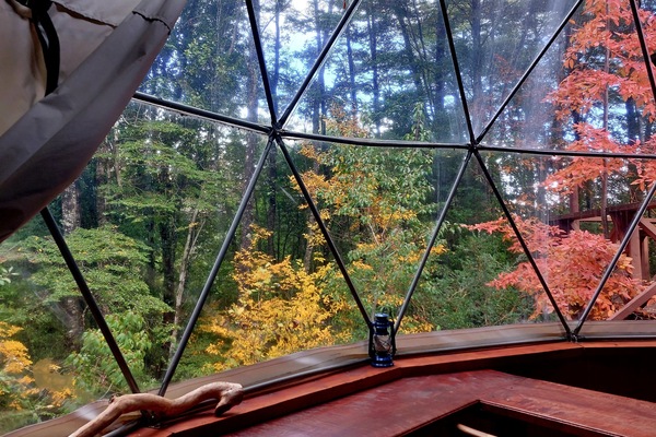 Cabin