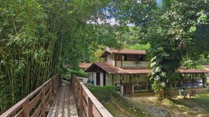 A wooden bridge leading to a building with a tiled roof, surrounded by dense bamboo and trees. - Pousada Caminho das Candeias (Nova Friburgo)