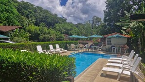 A pool area with lounge chairs and umbrellas, surrounded by lush greenery and a mountainous backdrop. - Pousada Caminho das Candeias (Nova Friburgo)