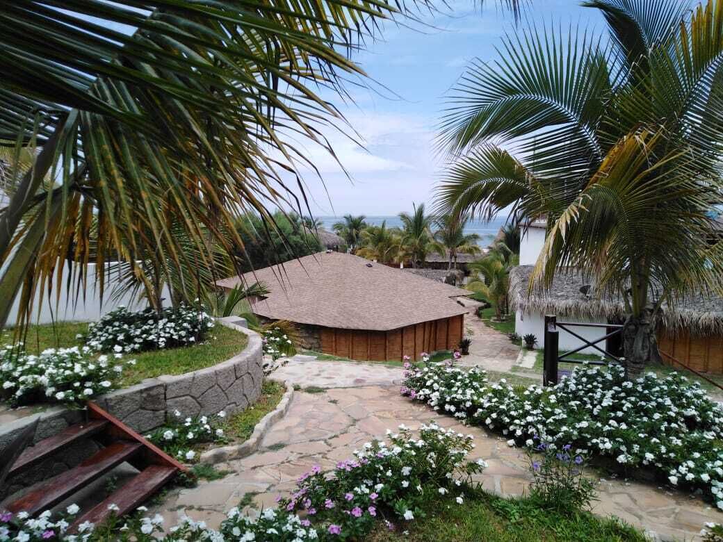 Habitación triple básica | Terraza o patio