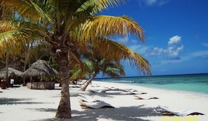 A beach with white sand, palm trees, and thatched huts. - Family home near the beach (La Romana)