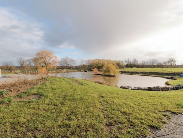 Property grounds - Lodge 2 @ Holmewood Lakes (Stockton-on-Tees)