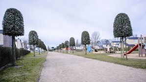 Ein Kiesweg, gesäumt von ordentlich beschnittenen Bäumen und einem Spielplatz mit einer Rutsche.