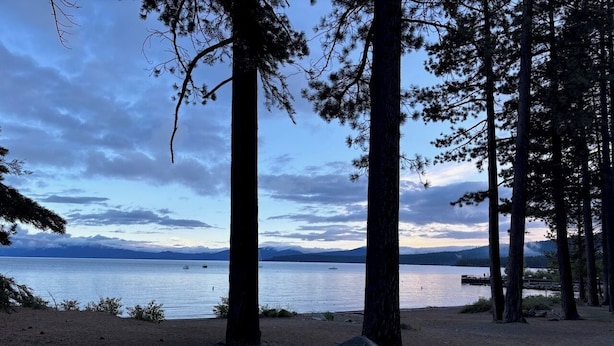 Una spiaggia con alberi alti, cielo sereno e un lago tranquillo.