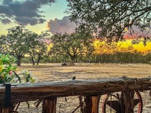 Property grounds - The Rancher Cabin - Texas Hill Country Romantic cabin for two near Kerrville & Fredericksburg (Mountain home)