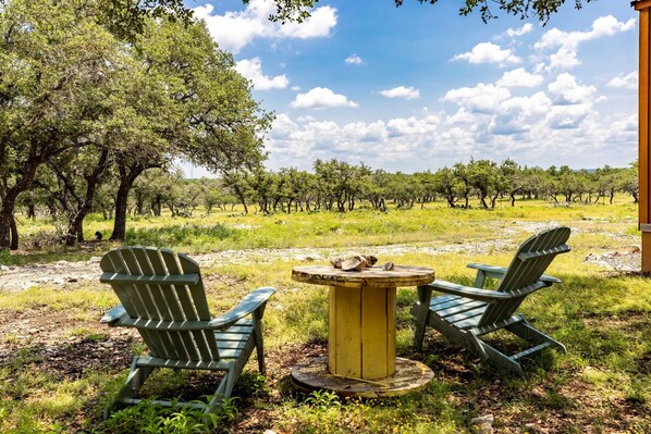 Property grounds - The Wildflower Cabin- Romantic Texas Hill Country cabin for 2 in the woods near Kerrville & Fredericksburg (Mountain home)
